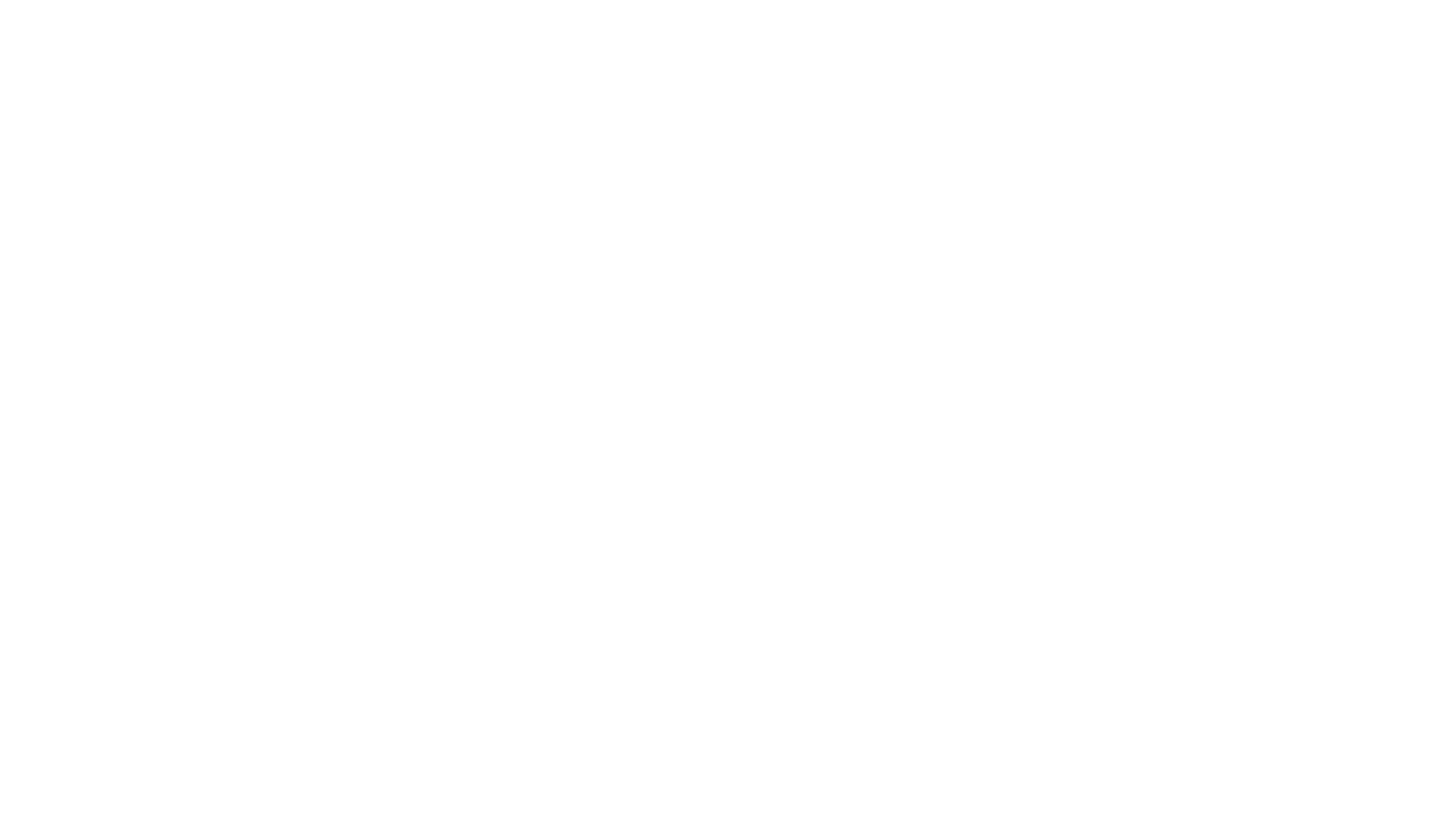 ism-logo-blanc